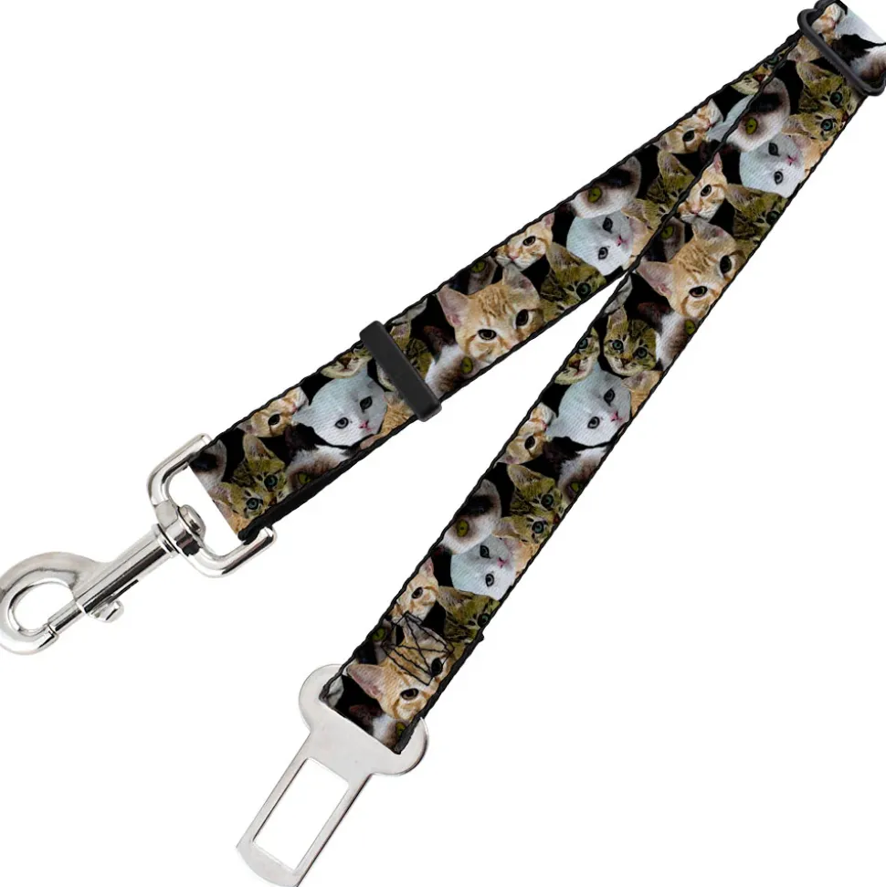 Dog Safety Seatbelt for Cars - Kitten Faces Scattered Black