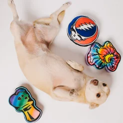 Dog Toy Squeaker Plush - Grateful Dead Skeleton Head Dancing Skeletons Black Multi Color