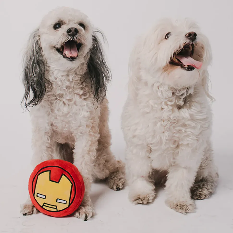Dog Toy Squeaker Plush - Iron Man Kawaii Face