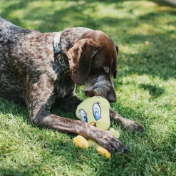 Dog Toy Squeaker Plush - Looney Tunes Tweety Bird Full Body