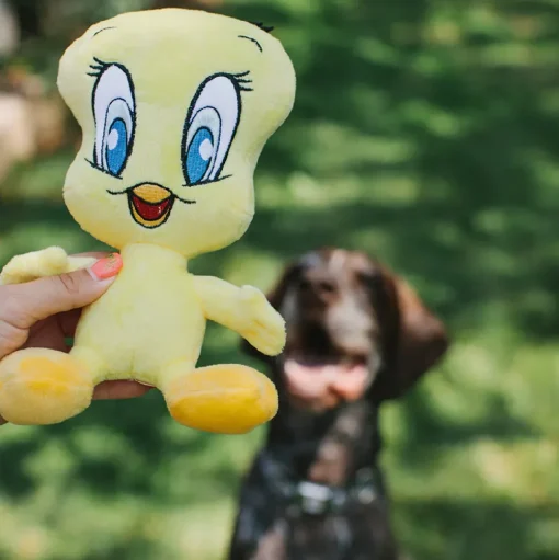 Dog Toy Squeaker Plush - Looney Tunes Tweety Bird Full Body