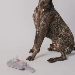 Dog Toy Squeaker Plush - Rick and Morty Portal Gun