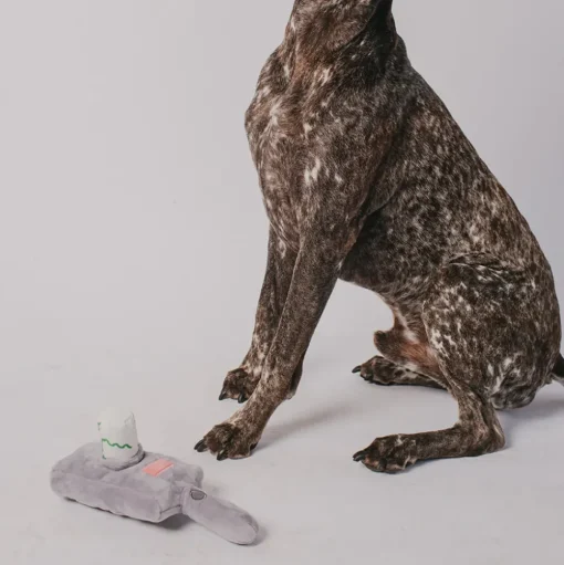 Dog Toy Squeaker Plush - Rick and Morty Portal Gun