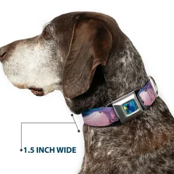 Dory Pose Seatbelt Buckle Collar - Dory & 5-Friends Under the Sea