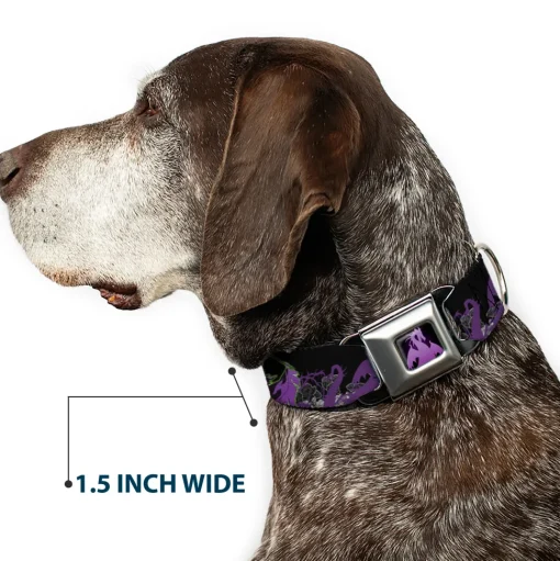 Dragon Maleficent Full Color Black Purple Seatbelt Buckle Collar - Maleficent & Diablo Black Roses/Purples