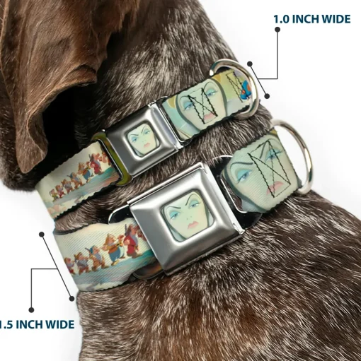 Evil Queen Face CLOSE-UP Full Color Seatbelt Buckle Collar - Snow White/Dwarves/Old Witch/Evil Queen Scenes
