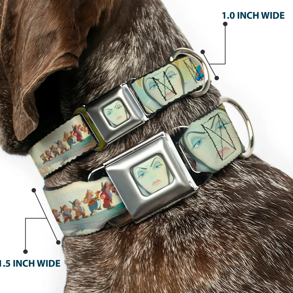 Evil Queen Face CLOSE-UP Full Color Seatbelt Buckle Collar - Snow White/Dwarves/Old Witch/Evil Queen Scenes