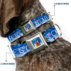 Flying House w/Balloons Full Color Seatbelt Buckle Collar - ADVENTURE IS OUT THERE/Carl on Porch/Flying House/Balloons Blues/White/Multi Color