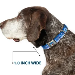 Flying House w/Balloons Full Color Seatbelt Buckle Collar - ADVENTURE IS OUT THERE/Carl on Porch/Flying House/Balloons Blues/White/Multi Color