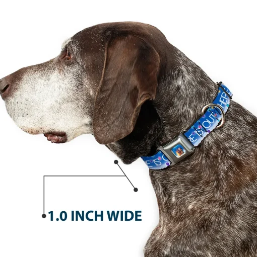 Flying House w/Balloons Full Color Seatbelt Buckle Collar - ADVENTURE IS OUT THERE/Carl on Porch/Flying House/Balloons Blues/White/Multi Color