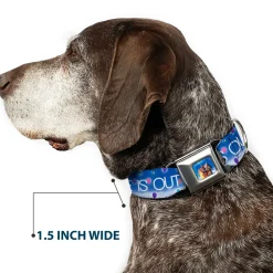 Flying House w/Balloons Full Color Seatbelt Buckle Collar - ADVENTURE IS OUT THERE/Carl on Porch/Flying House/Balloons Blues/White/Multi Color