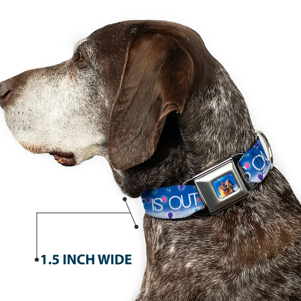 Flying House w/Balloons Full Color Seatbelt Buckle Collar - ADVENTURE IS OUT THERE/Carl on Porch/Flying House/Balloons Blues/White/Multi Color