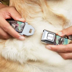 FRUITS BASKET Title Logo Full Color White/Purple Seatbelt Buckle Collar - Fruits Basket Kyo Tohru Yuki Group Pose Greens/Blues