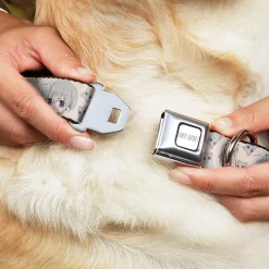 FRUITS BASKET Title Logo Full Color White/Purple Seatbelt Buckle Collar - Fruits Basket Chibi Yuki Soma and Rat Scattered Beige/Gray