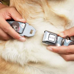 FRUITS BASKET Title Logo Full Color White/Purple Seatbelt Buckle Collar - Fruits Basket Chibi Tohru Honda and Rice Ball Scattered Light Blue