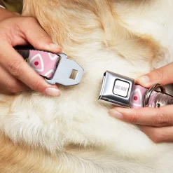 FRUITS BASKET Title Logo Full Color White/Purple Seatbelt Buckle Collar - Fruits Basket Chibi Tohru Honda Face and Kimono Rice Ball Icon Pink/White/Red