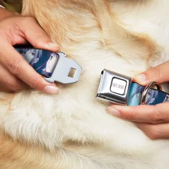 FRUITS BASKET Title Logo Full Color White/Purple Seatbelt Buckle Collar - Fruits Basket Yuki Tohru Kyo Final Season Group Pose Blues