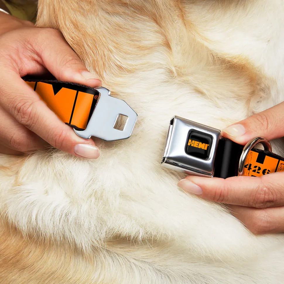 HEMI 426 Logo Full Color Black Orange Seatbelt Buckle Collar - HEMI 426 Logo Repeat Black/Orange