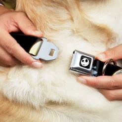 Jack Expression2 Full Color Seatbelt Buckle Collar - NBC Jack & Sally Moon Scenes