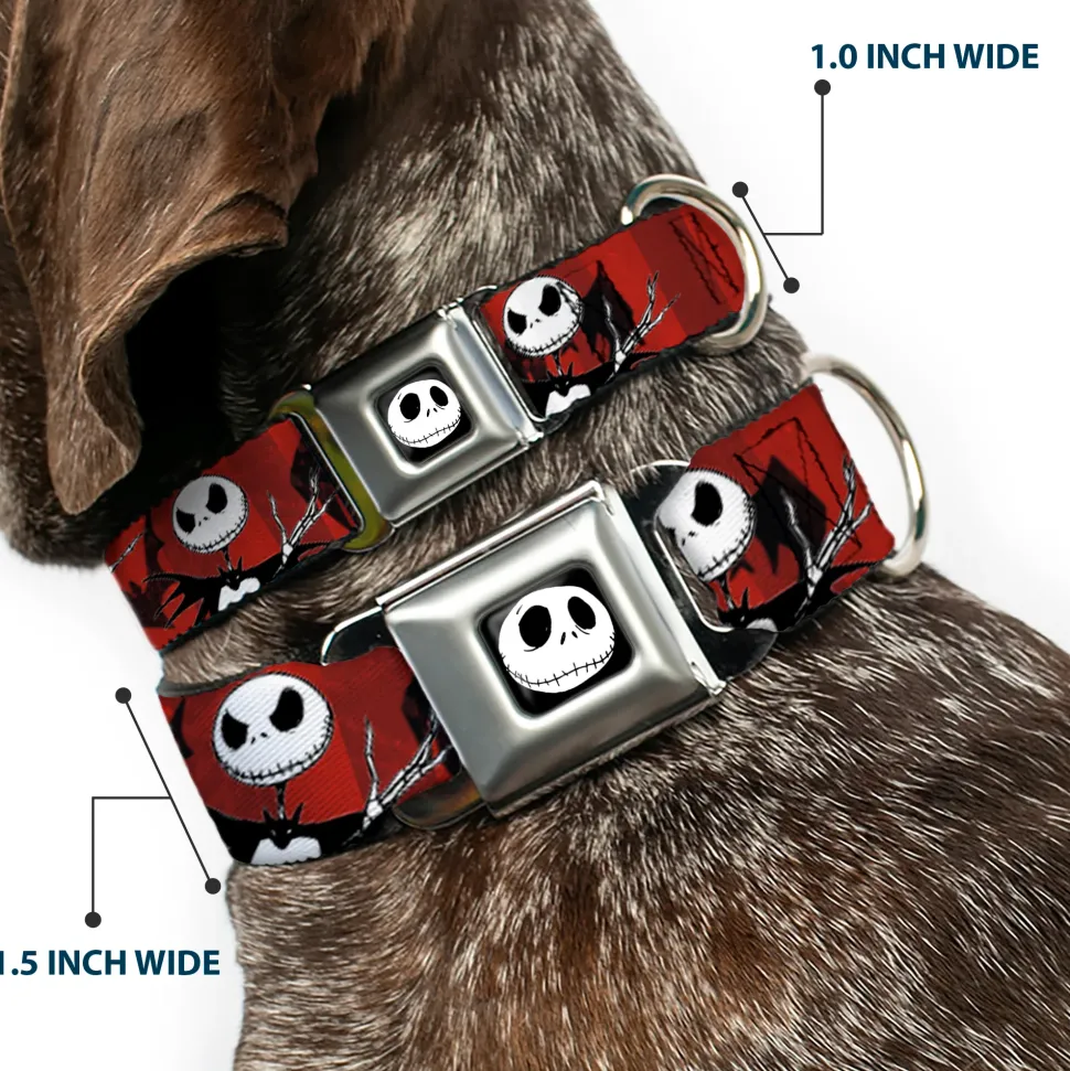Jack Expression5 Full Color Seatbelt Buckle Collar - Nightmare Before Christmas Jack Poses/Bats Red Stripe