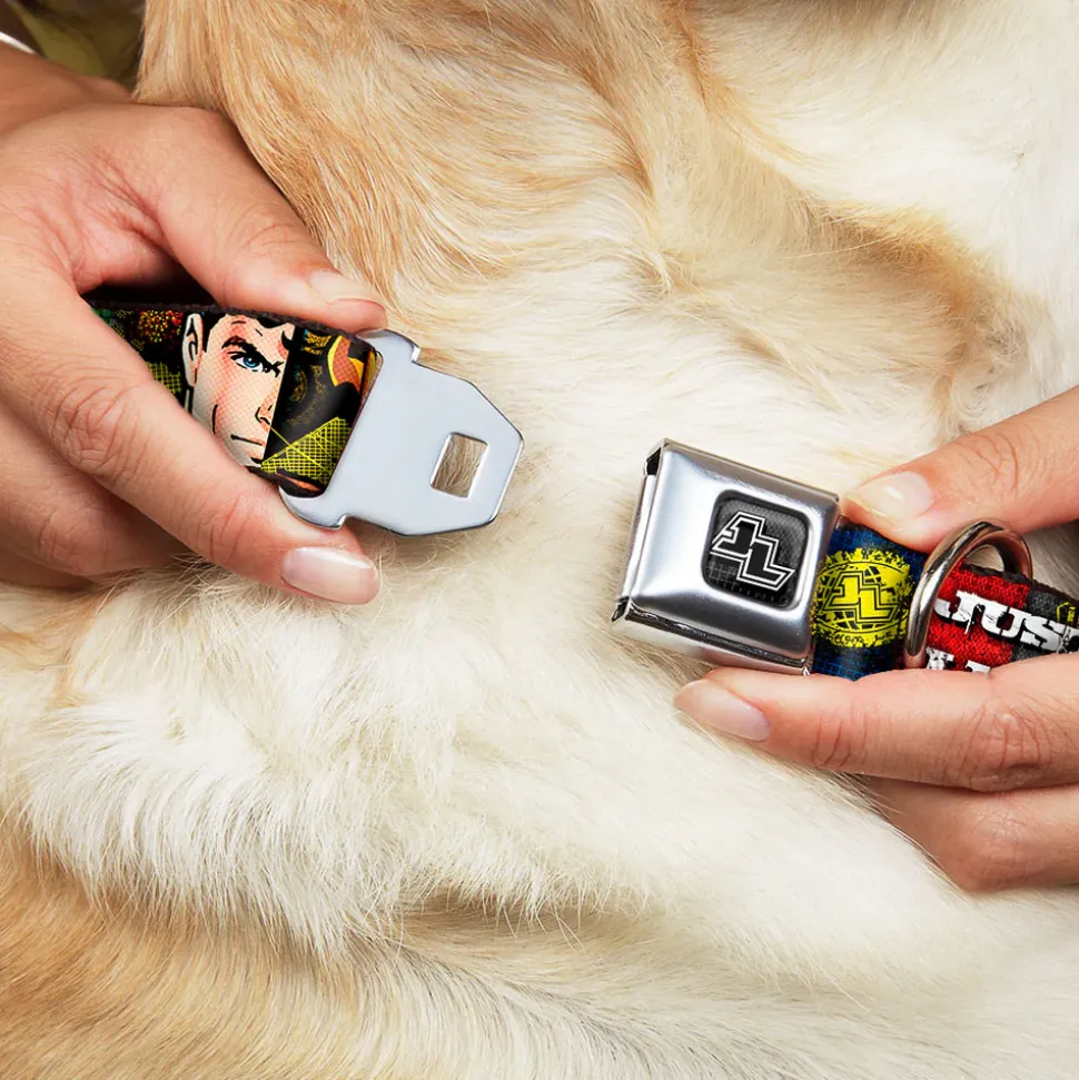 JL Logo Full Color Grays Black White Seatbelt Buckle Collar - JUSTICE LEAGUE Logo/4-Superhero Panels Pop Art