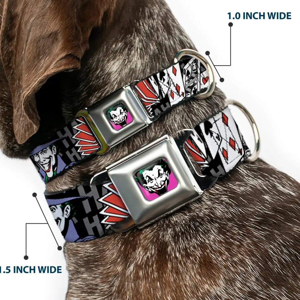 Joker Face Full Color Seatbelt Buckle Collar - The Joker Pose/Cards/HAHAHAHA Black/Gray