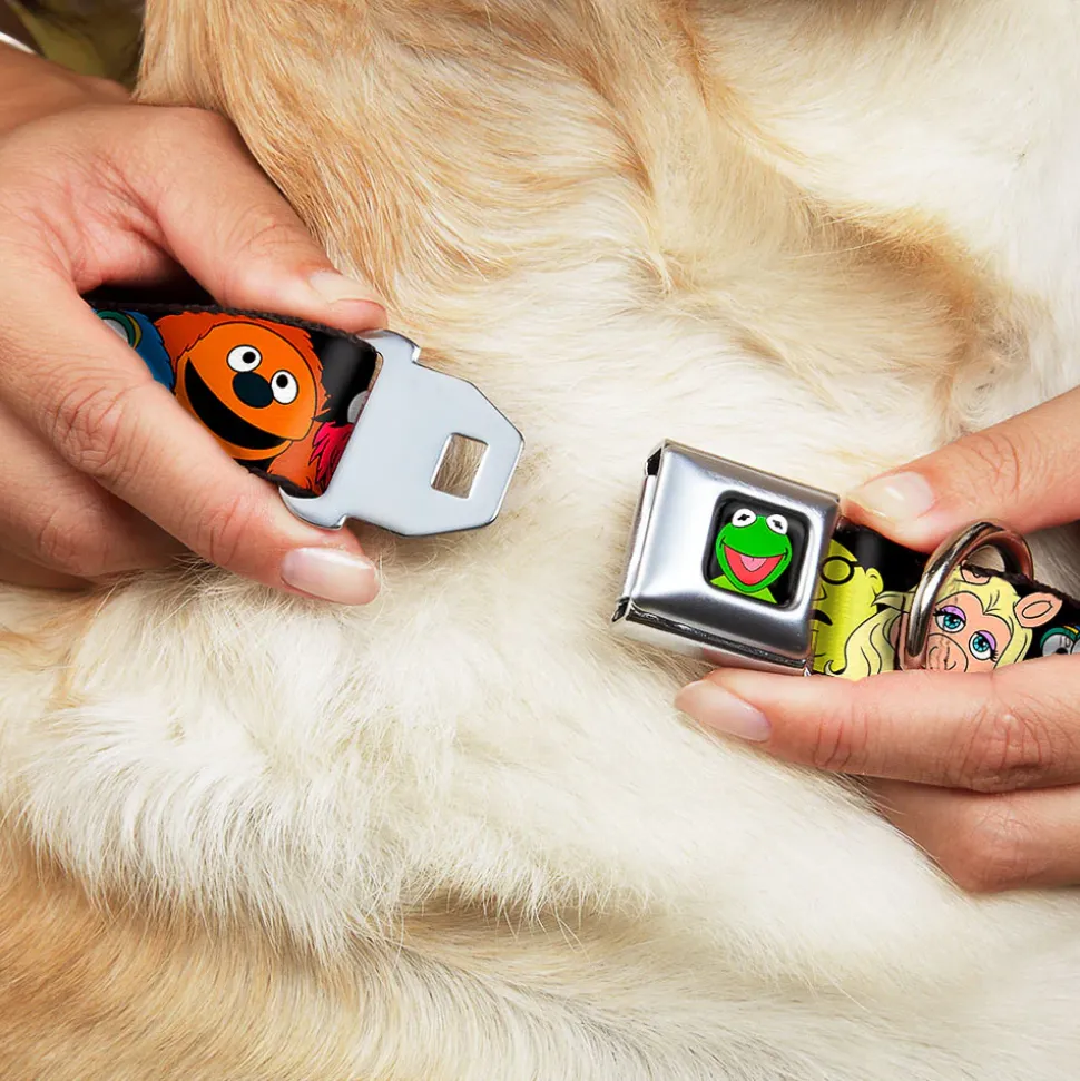 Kermit Face Full Color Black Seatbelt Buckle Collar - Muppets Faces Black