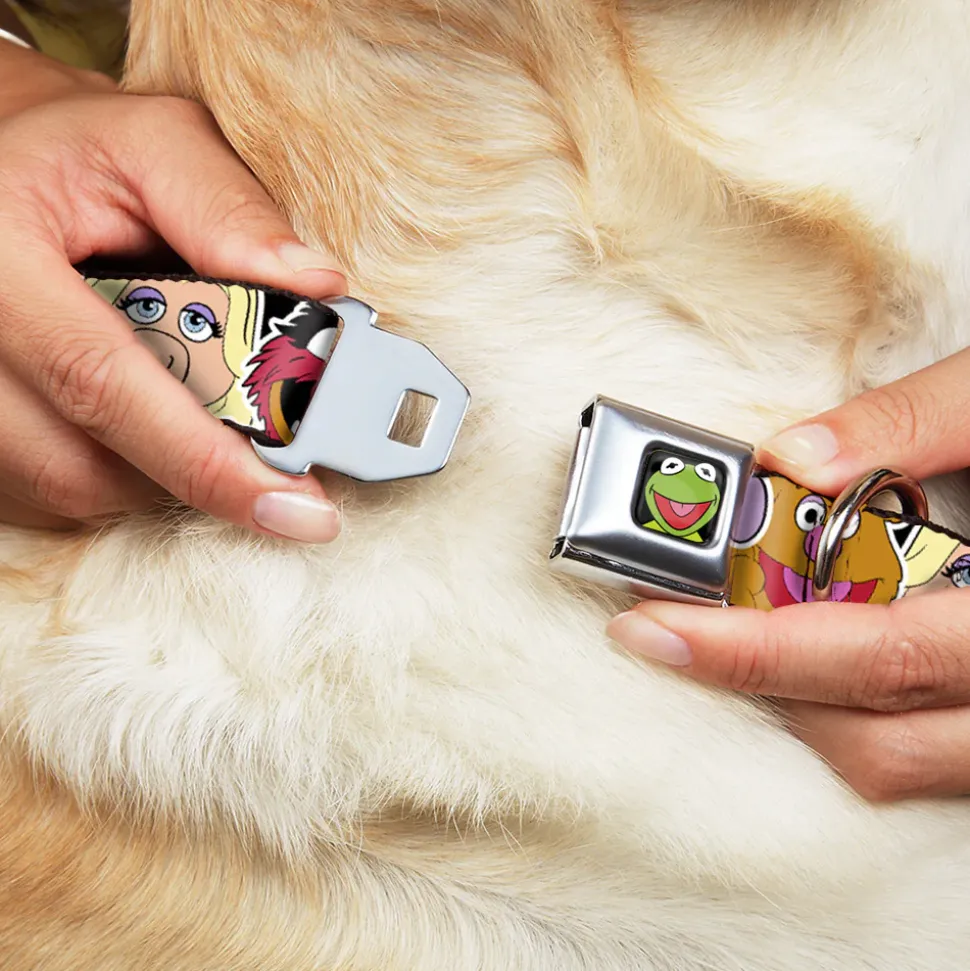 Kermit Face Full Color Black Seatbelt Buckle Collar - Muppets Faces CLOSE-UP Black