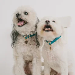 Lady and the Tramp Collar Movie Replica LADY 194 Heart Charm