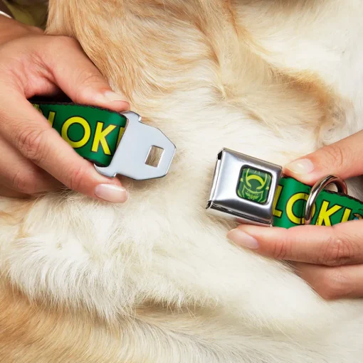 Loki Face Icon Full Color Yellow/Greens Seatbelt Buckle Collar - Kawaii LOKI Standing Pose/Text Green/Yellow