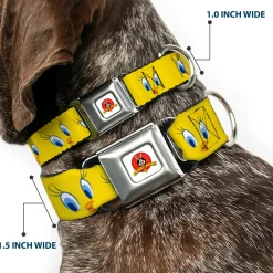 Looney Tunes Logo Full Color White Seatbelt Buckle Collar - Tweety Bird Expressions2