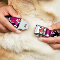 Looney Tunes Logo Full Color White Seatbelt Buckle Collar - Sylvester the Cat Poses Purple
