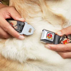 Looney Tunes Logo Full Color White Seatbelt Buckle Collar - YOSEMITE SAM w/Poses Gray