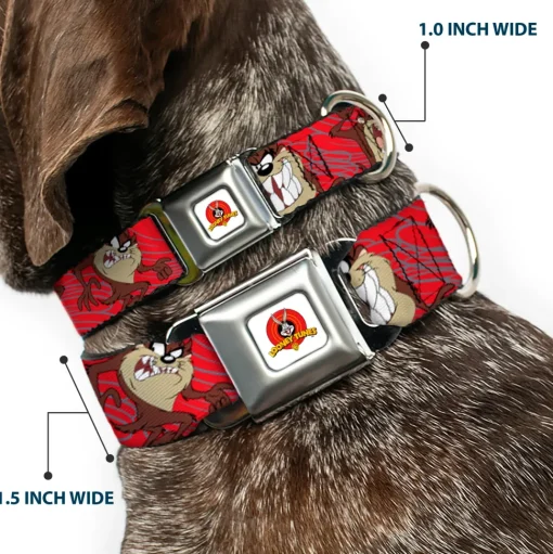 Looney Tunes Logo Full Color White Seatbelt Buckle Collar - Tasmanian Devil Expressions Red Swirl