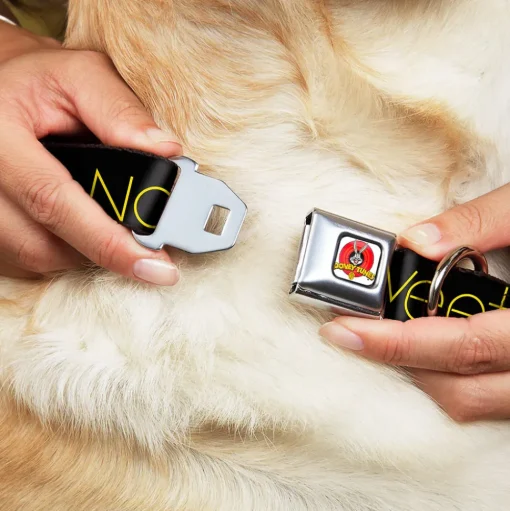 Looney Tunes Logo Full Color White Seatbelt Buckle Collar - Tweety Bird Poses CUTE AND SWEET Black/Yellow