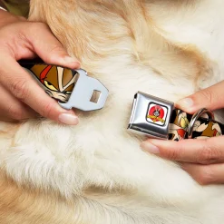 Looney Tunes Logo Full Color White Seatbelt Buckle Collar - Wile E. Coyote Expressions Black