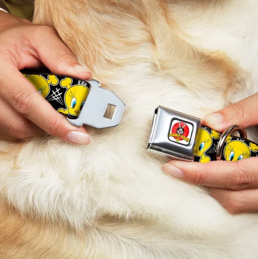Looney Tunes Logo Full Color White Seatbelt Buckle Collar - Tweety Bird & Crossbones Black/White/Yellow