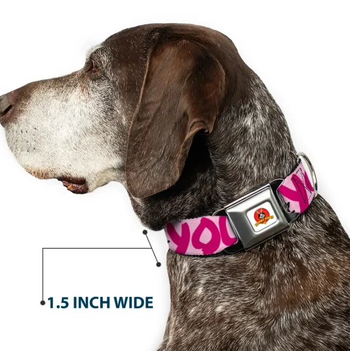 Looney Tunes Logo Full Color White Seatbelt Buckle Collar - Tweety Bird I LOVE YOU Pink/Black