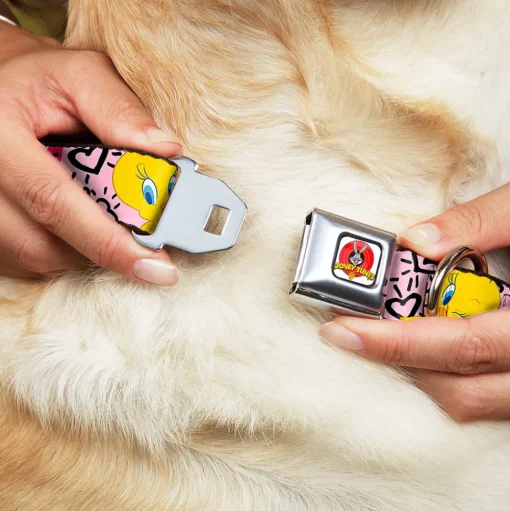 Looney Tunes Logo Full Color White Seatbelt Buckle Collar - Tweety Bird I LOVE YOU Pink/Black