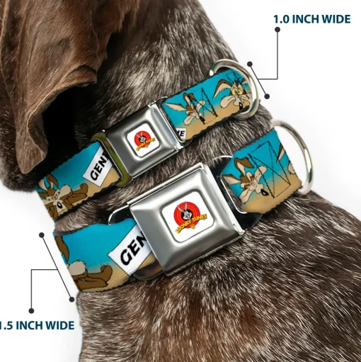 Looney Tunes Logo Full Color White Seatbelt Buckle Collar - WILE E. COYOTE Expressions/Signs Desert