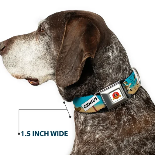 Looney Tunes Logo Full Color White Seatbelt Buckle Collar - WILE E. COYOTE Expressions/Signs Desert