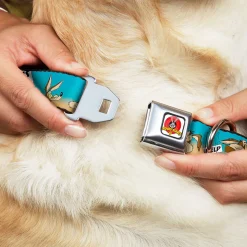 Looney Tunes Logo Full Color White Seatbelt Buckle Collar - WILE E. COYOTE Expressions/Signs Desert