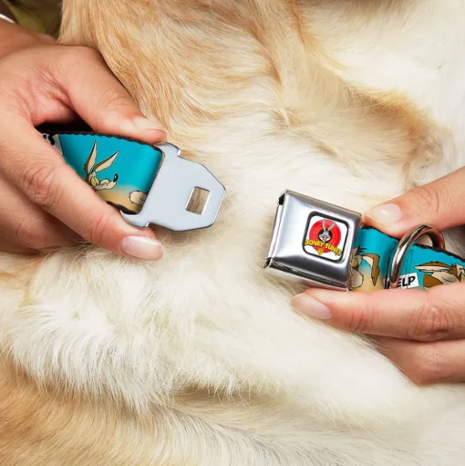 Looney Tunes Logo Full Color White Seatbelt Buckle Collar - WILE E. COYOTE Expressions/Signs Desert