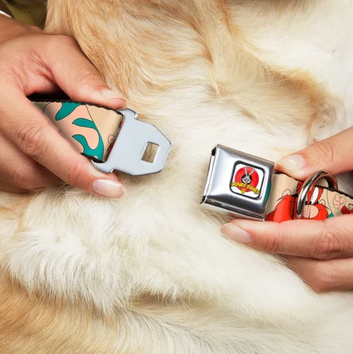 Looney Tunes Logo Full Color White Seatbelt Buckle Collar - Yosemite Sam Poses Turquoise