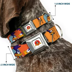 Looney Tunes Logo White Seatbelt Buckle Collar - ROAD RUNNER w/Road Runner Poses Orange