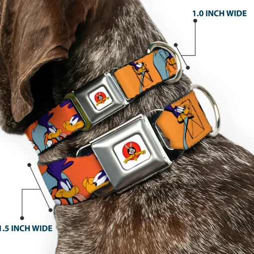 Looney Tunes Logo White Seatbelt Buckle Collar - ROAD RUNNER w/Road Runner Poses Orange