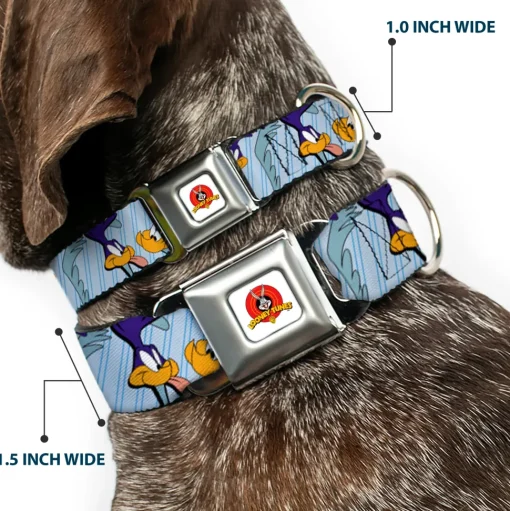 Looney Tunes Logo White Seatbelt Buckle Collar - MEEP MEEP!! w/Road Runner Poses Baby Blue