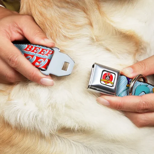 Looney Tunes Logo White Seatbelt Buckle Collar - MEEP MEEP!! w/Road Runner Poses Baby Blue