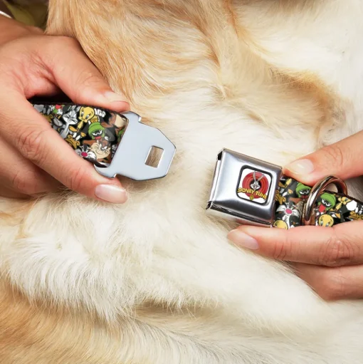 Looney Tunes Logo White Seatbelt Buckle Collar - Looney Tunes 6-Character Stacked Collage4