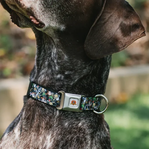 Looney Tunes Logo White Seatbelt Buckle Collar - Looney Tunes 6-Character Stacked Collage4
